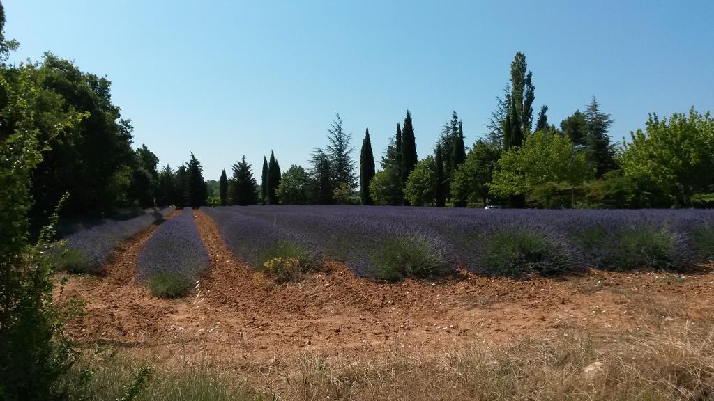 Residence Les Rossignols Roussillon  Ngoại thất bức ảnh