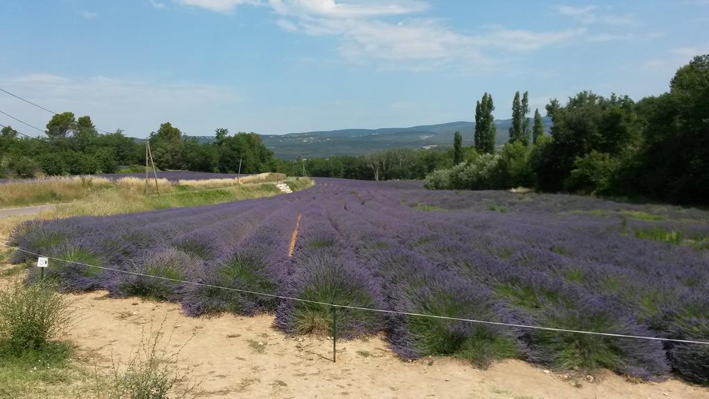 Residence Les Rossignols Roussillon  Ngoại thất bức ảnh